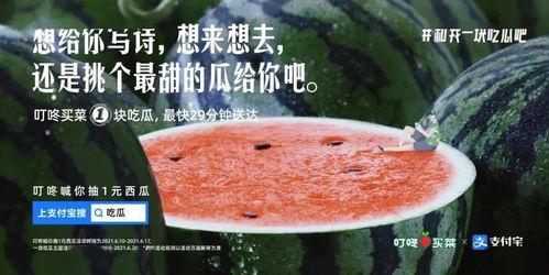 被迫吃瓜文案,揭秘网络舆论背后的真相与影响