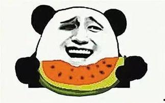 严格吃瓜夏友善,严格吃瓜背后的故事与启示