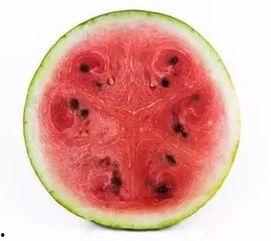 科学吃瓜,揭秘健康饮食的甜蜜秘诀