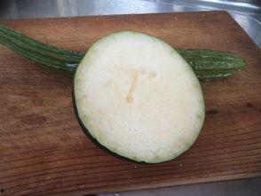 吃瓜酱有啥瓜,吃瓜酱带你畅游瓜田盛宴