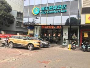 西大财院吃瓜,一场吃瓜盛宴背后的校园风云