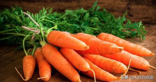 吃瓜爱吃胡萝卜