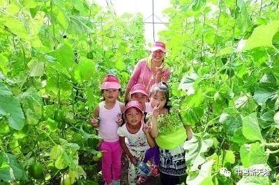 诸城吃瓜哪家强