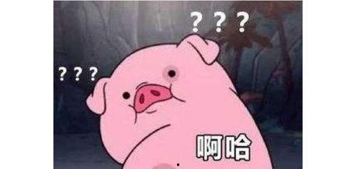 养猪吃瓜能火吗,跨界潮流，能否引爆网络热度？