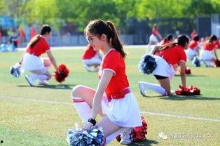 校园日常吃瓜事件,揭秘校园日常那些事儿