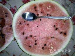 黄塘吃瓜,探寻民间美食的传承与创新