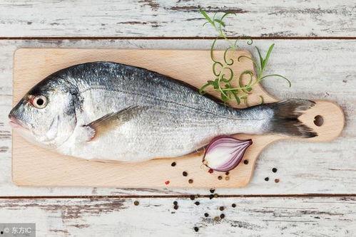 吃瓜鱼总,网络红人的崛起与影响力