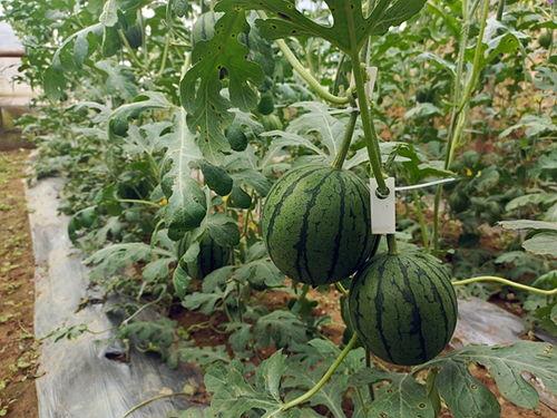 吃瓜小余,揭秘娱乐圈那些不为人知的幕后故事