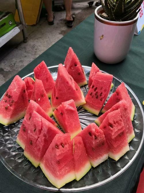 老外吃宁夏硒砂瓜,老外品尝宁夏硒砂瓜的独特体验