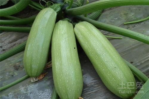 重仓吃瓜正宗做法,揭秘正宗吃瓜技巧与乐趣