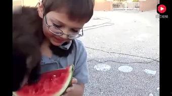 讲故事吃瓜视频,揭秘热门讲故事吃瓜视频背后的秘密