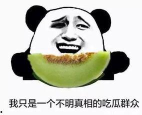 不主动吃瓜群众