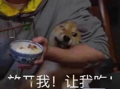 奇葩祭品带你吃瓜,奇葩祭品背后的神秘故事，带你一探究竟