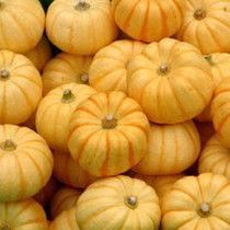 红桔瓜怎么吃,解锁美味新体验