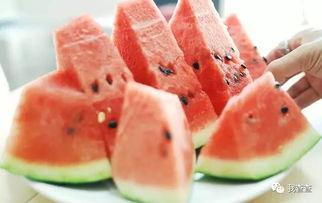 勺瓜咋吃,从传统到创新