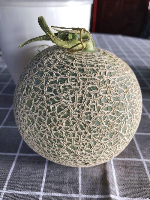 蜜瓜怎么吃方便,解锁夏日清新美味