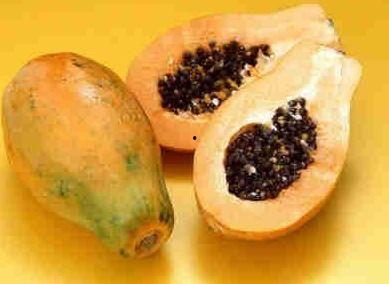 蒲瓜不能和什么一起吃