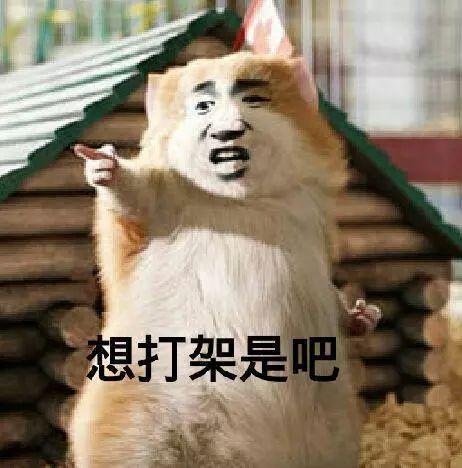 吃瓜看吵架文案