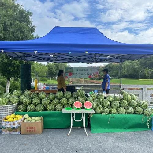 泰山电建吃瓜,揭秘电力建设领域的“吃瓜”风云