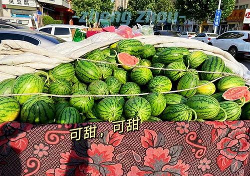 郑州最新吃瓜